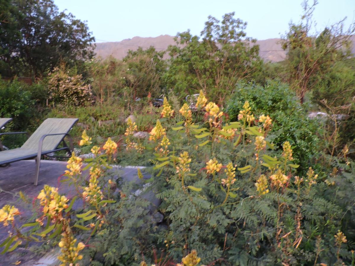 Cabanas La Comarca Merlo Buitenkant foto